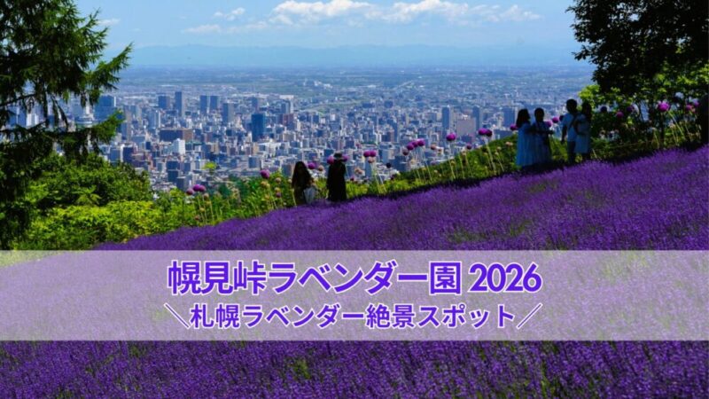 幌見峠ラベンダー園2026｜見頃はいつからいつまで？札幌の絶景と駐車場・アクセス情報、2025年写真も紹介