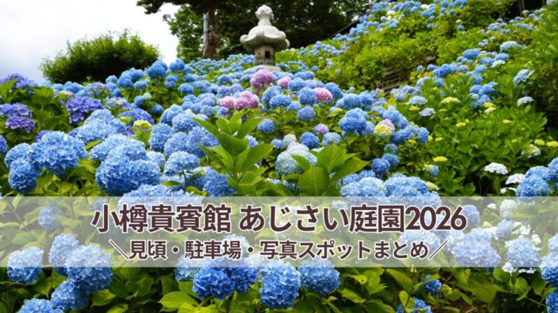 小樽貴賓館（旧青山別邸）あじさい庭園2026｜見頃・写真スポット・駐車場情報