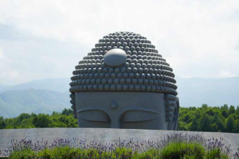 真駒内滝野霊園 ラベンダー祭 遊歩道