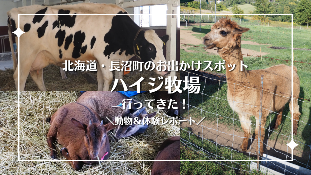 ハイジ牧場へ行ってきた！入場料・営業時間・アクセス・動物・体験まで紹介