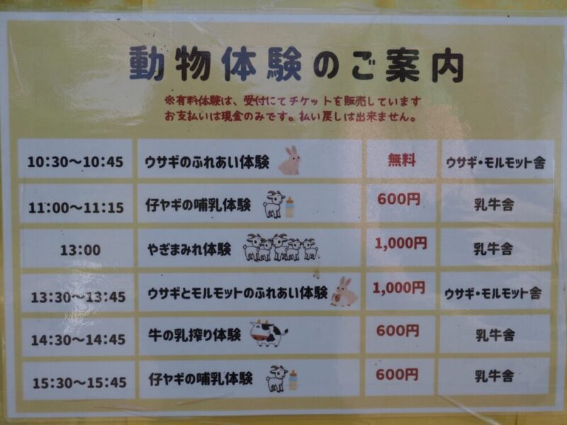 ハイジ牧場の動物体験案内