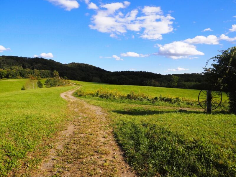 ハイジ牧場の風景